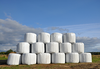 5.6. silage shutterstock_525421051.png