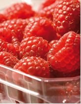 PlasticsEurope Himbeeren in Verpackung.jpg